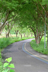 Scenery Track of Chengdu Yushi Wetland Park