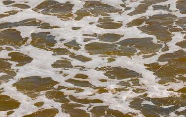 Close-up of a dirty foamy water surface
