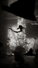 silhouette of a woman © Дима Крапивин