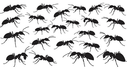 Seamless Pattern of Black Ants on White Background in Silhouette Style silhouette
