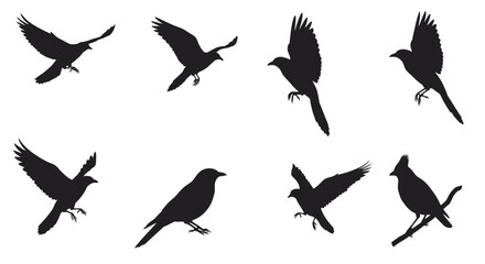 Seamless Pattern of Flying Birds in Black Silhouette Style on White Background silhouette
