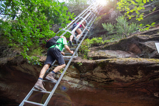 Wanderer auf der Leiter zum Hühnerstein. Der Hühnerstein ist ein Sandsteinfels im Pfälzerwald und teil des Rimbachsteigs - Powered by Adobe