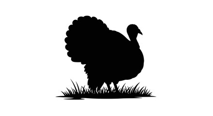 Image Processing Complete