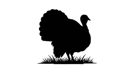 Image Processing Complete