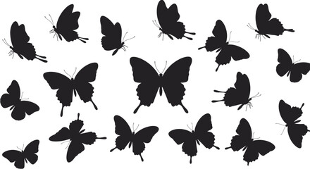 Multiple Butterfly Silhouettes on White Background