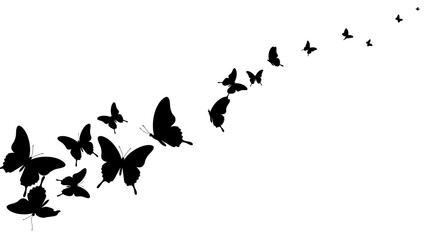 Flying Butterflies Silhouette in a Row Design