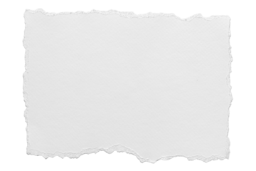 ripped element set of torn paper edges isolated with clipping path on background. torn paper texture, ripped of paper designs and jagged paper edges create a raw, artistic look