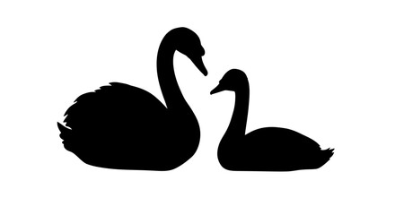 Image Processing Complete