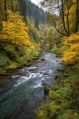 Autumnal river flowing through a wooded gorge