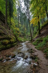 Autumnal forest creek.  Misty, rocky gorge