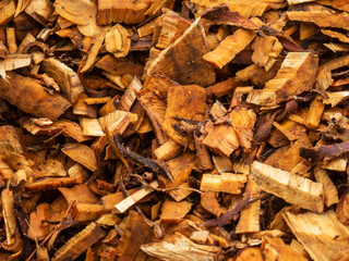 Wood chips and shavings macro texture background.