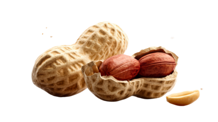Whole and opened peanuts with kernels spilling out in a close-up studio setting, cut out transparent