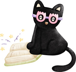 black cat on a white background