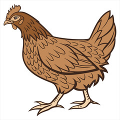 Hen Vector Illustration. Hen Clipart. Brown Hen Illustration – Farm Animal Vector. Brown Hen Illustration. Brown Chicken Clipart. 