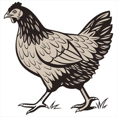 Hen Vector Illustration. Hen Clipart. Brown Hen Illustration – Farm Animal Vector. Brown Hen Illustration. Brown Chicken Clipart. 