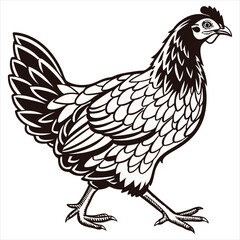 Hen Vector Illustration. Hen Clipart. Brown Hen Illustration – Farm Animal Vector. Brown Hen Illustration. Brown Chicken Clipart. 