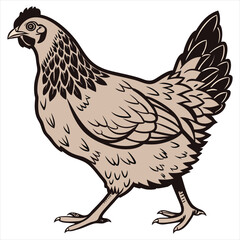 Hen Vector Illustration. Hen Clipart. Brown Hen Illustration – Farm Animal Vector. Brown Hen Illustration. Brown Chicken Clipart. 