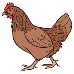 Hen Vector Illustration. Hen Clipart. Brown Hen Illustration – Farm Animal Vector. Brown Hen Illustration. Brown Chicken Clipart. 