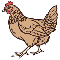 Hen Vector Illustration. Hen Clipart. Brown Hen Illustration – Farm Animal Vector. Brown Hen Illustration. Brown Chicken Clipart. 