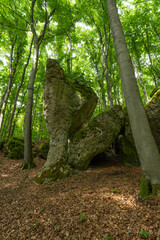 Felsformationan bei Muggendorf in der Fränkischen Schweiz 1 © Holger W. Spieker