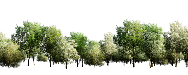 Lush green tree line isolated on transparent background