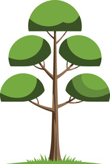 Fototapeta premium Web