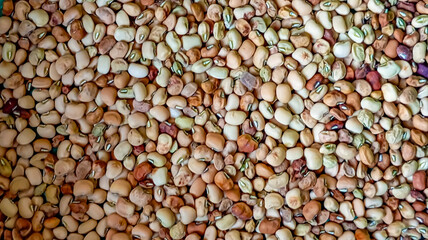Colorful Assortment of Dried Beans. 
A close-up view of various dried beans displaying different shapes, colors, and textures.