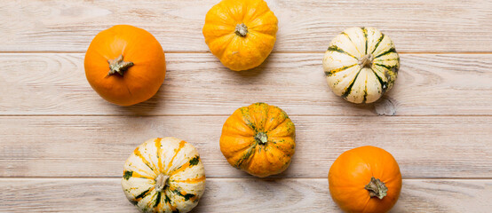 Autumn composition of little orange pumpkins on colored table background. Fall, Halloween and...