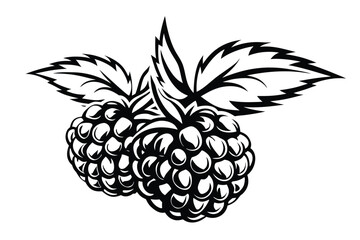 Black Stylish Raspberry Duo Detailed Berry Design on White Background