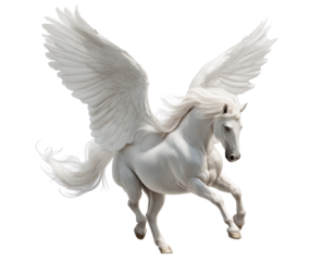
a white pegasus horse flying in various poses, realistic photography, white background, full-body shot, detailed, beautiful, and magical