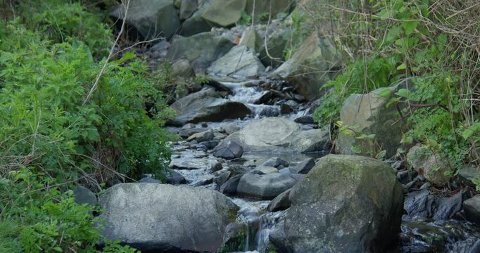 mid shot of a small rocky stream brook at new quay beach