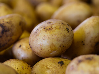 fresh potatoes at market