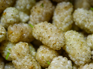 fresh organic mulberries