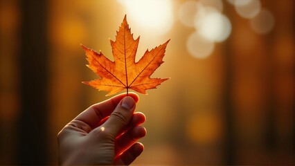 Hand holding autumn maple leaf close up with warm golden sunlight, seasonal fall foliage background, orange and brown tones, cinematic bokeh, nature forest scene, detailed macro photography