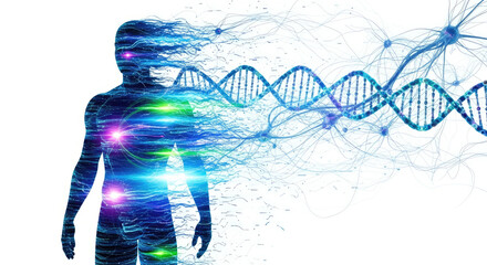 Human silhouette with dna strands and neural network connections on a white background