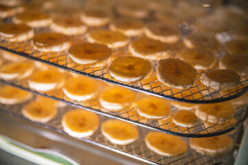 Banana chips drying inside a food dehydrator machine