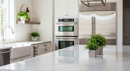 A bright, modern kitchen featuring a large marble island, stainless steel appliances including a double oven and refrigerator, and a farmhouse sink, adorned with potted plants.