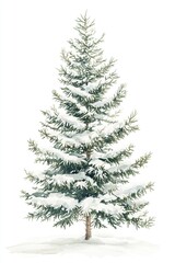 Fototapeta premium A Serene Winter Scene: Snow-Covered Evergreen Tree in Watercolor