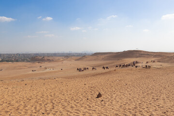 sand dunes in the desert