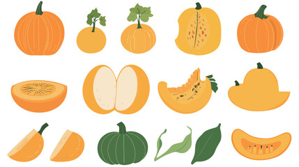 Pumpkin Vector Illustration – Cute Autumn Graphic Design
