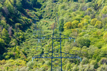 A tall power line tower is surrounded by trees