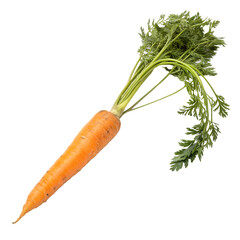 Fresh orange carrot vegetable isolated on a transparent background png
