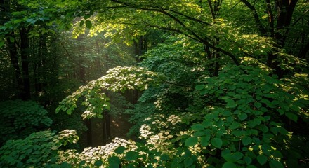 Obraz premium Lush greenery bathed in sunlight lush botanical garden scene natural beauty vibrant foliage outdoor serenity