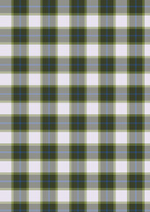 Green and white gingham textile with a seamless checkered pattern perfect for a picnic blanket or tablecloth backdrop