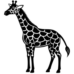 giraffe isolated on white