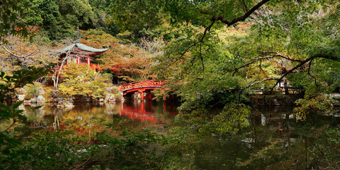 Fototapeta premium view of Japanese temple during autumn season 