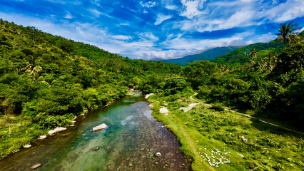 Aerial view of a wild river deep in the jungle. Aerial view of a shallow river flowing through...
