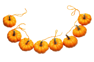 Autumnal pumpkin garland decoration isolated on transparent background. Pumpkin garland decoration features small pumpkins perfect for fall and halloween decorations isolated on white background.