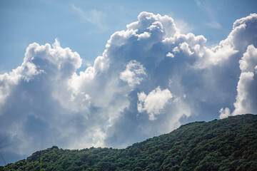 奄美大島の夏の海。