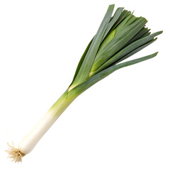 Green and white leek allium isolated on a transparent background png